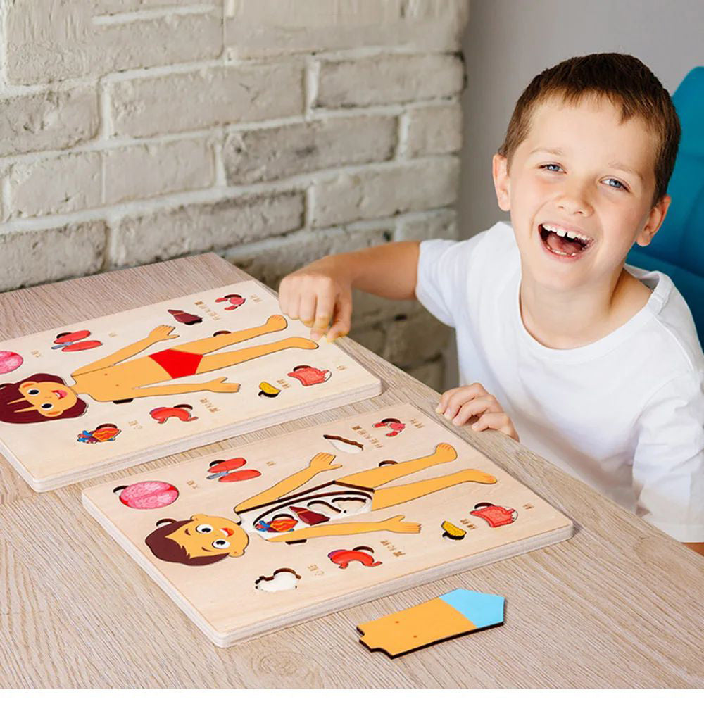 Wooden Human Body Organs Board